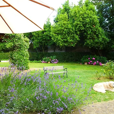 Bed & Breakfast Casa Ezelina